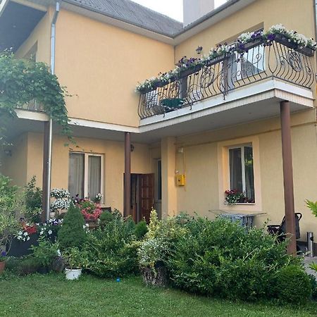 Celebrity Villa Kamjanyi Potoki Kültér fotó